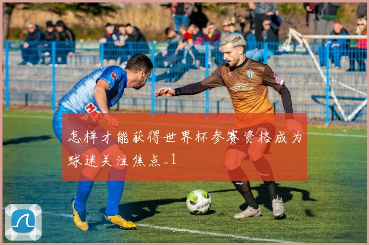 怎样才能获得世界杯参赛资格成为球迷关注焦点_1