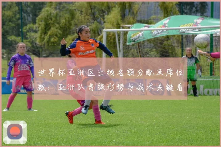 世界杯亚洲区出线名额分配及席位数，亚洲队晋级形势与战术关键看点