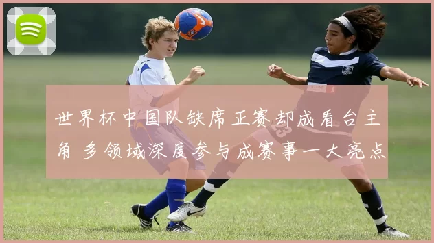 世界杯中国队缺席正赛却成看台主角 多领域深度参与成赛事一大亮点