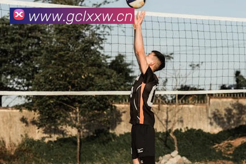 beat·365(中文) - 唯一官方网站平台生态图